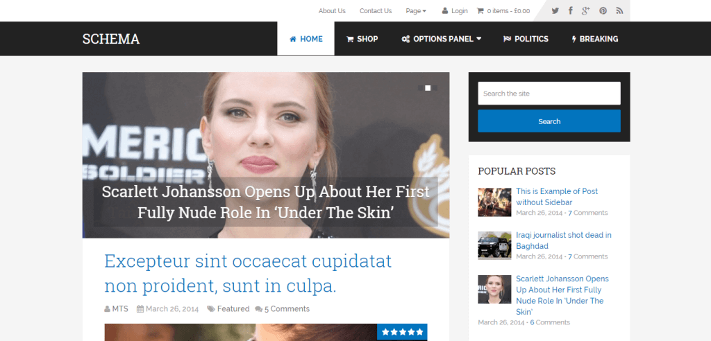 SEO Friendly WordPress Theme